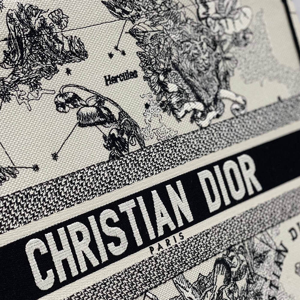 LARGE DIOR BOOK TOTE