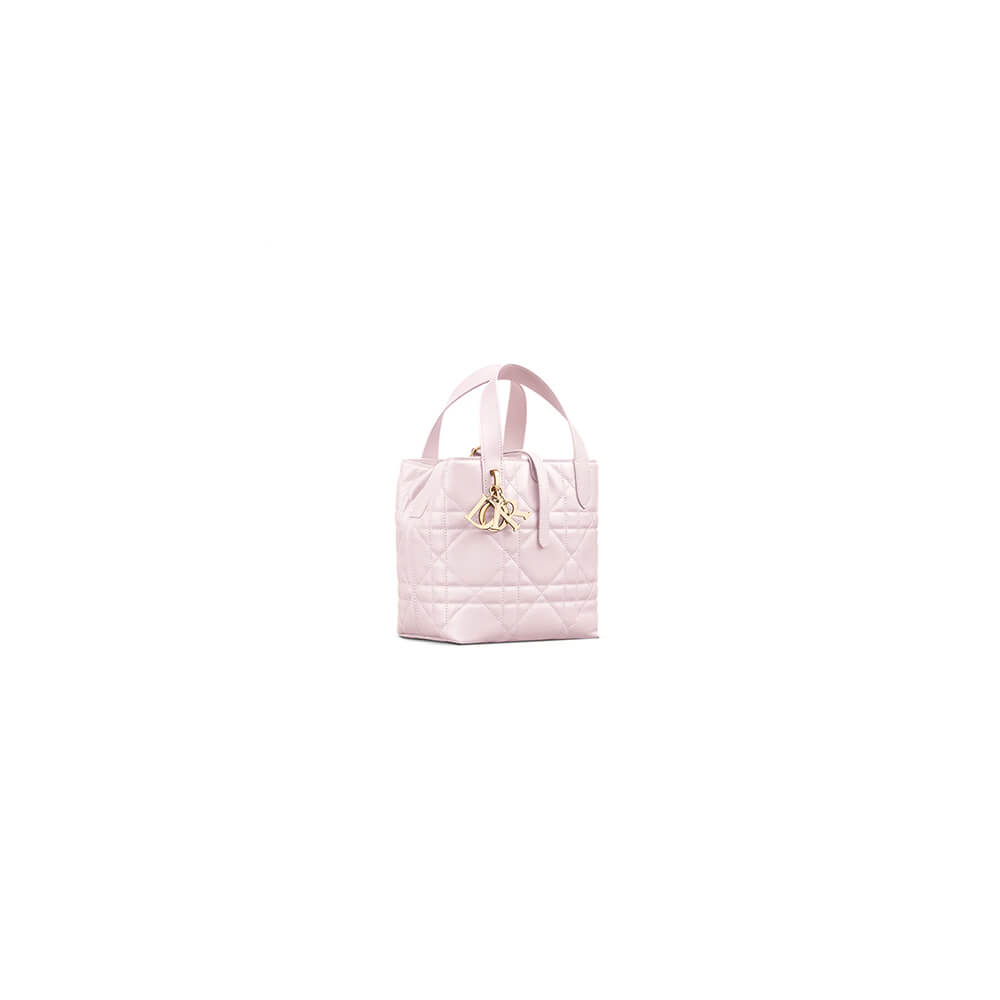 Small Dior Toujours Vertical Tote Bag(high-end grade)