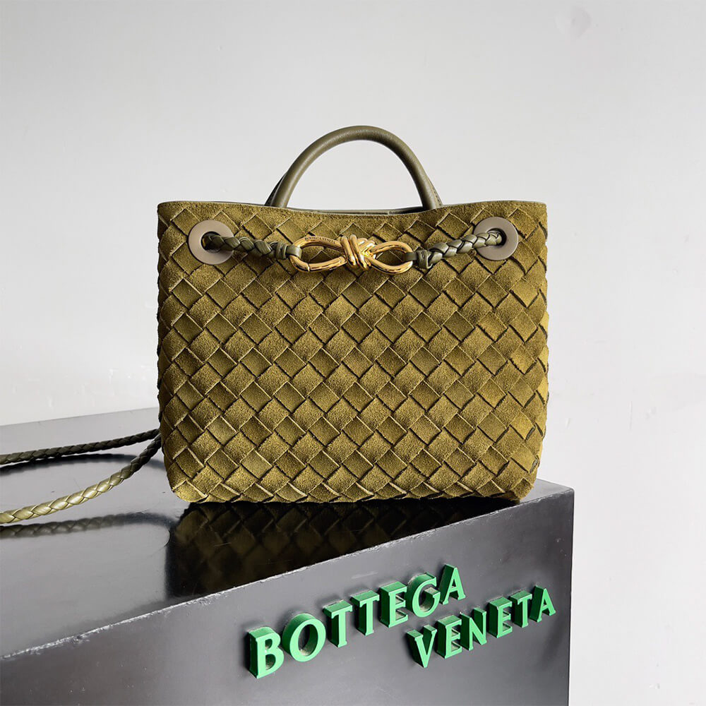 Bottega Veneta Small Andiamo