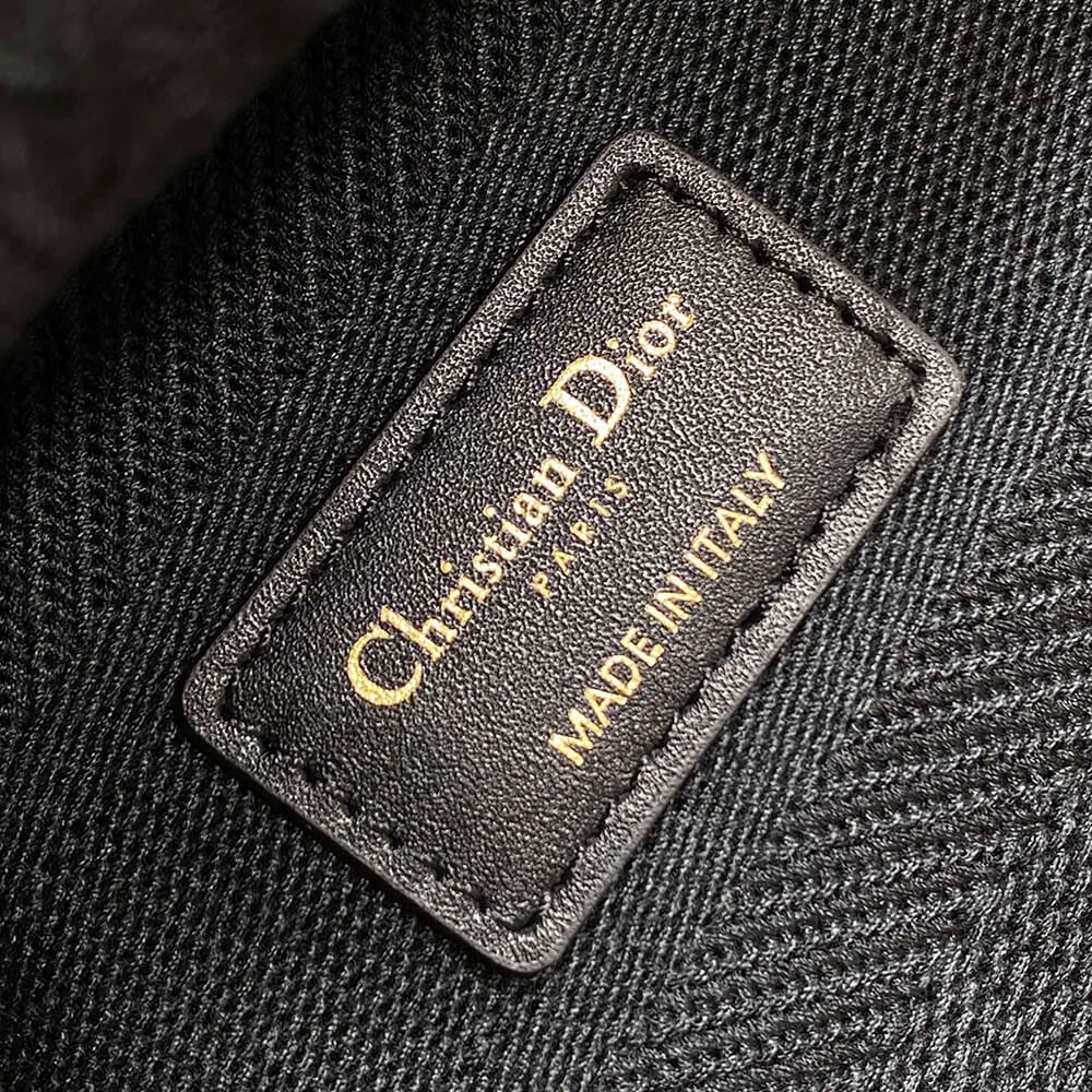 Dior Medium Lady D-Lite Bag