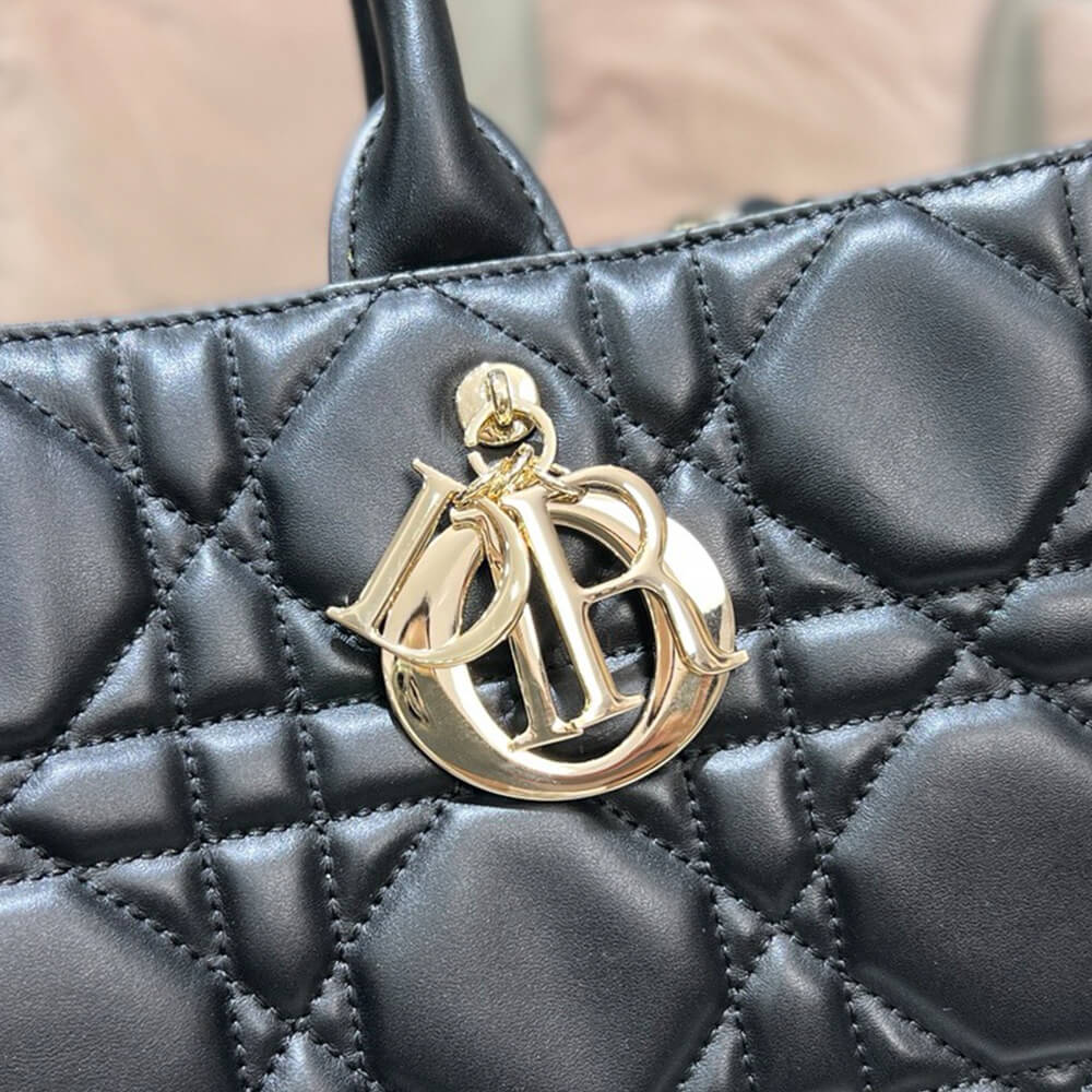 Dior Medium Dior Book Tote