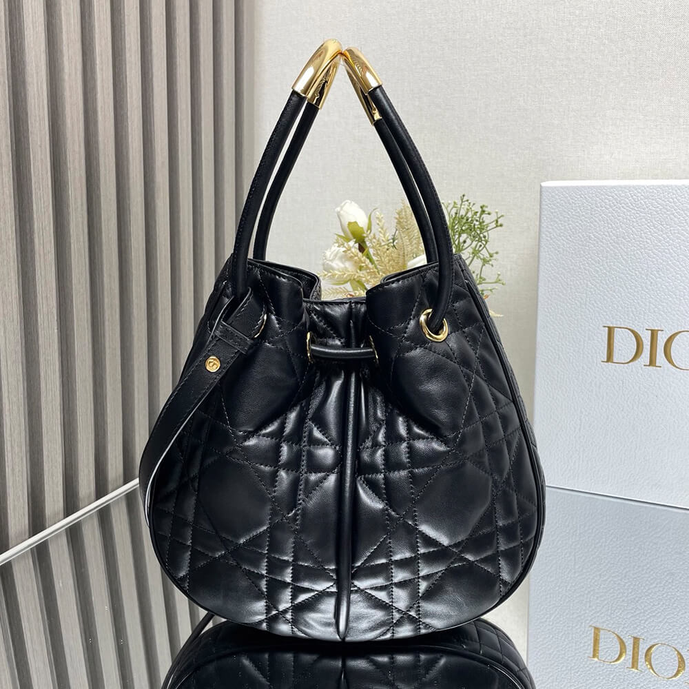 Medium Dior Nolita Bag