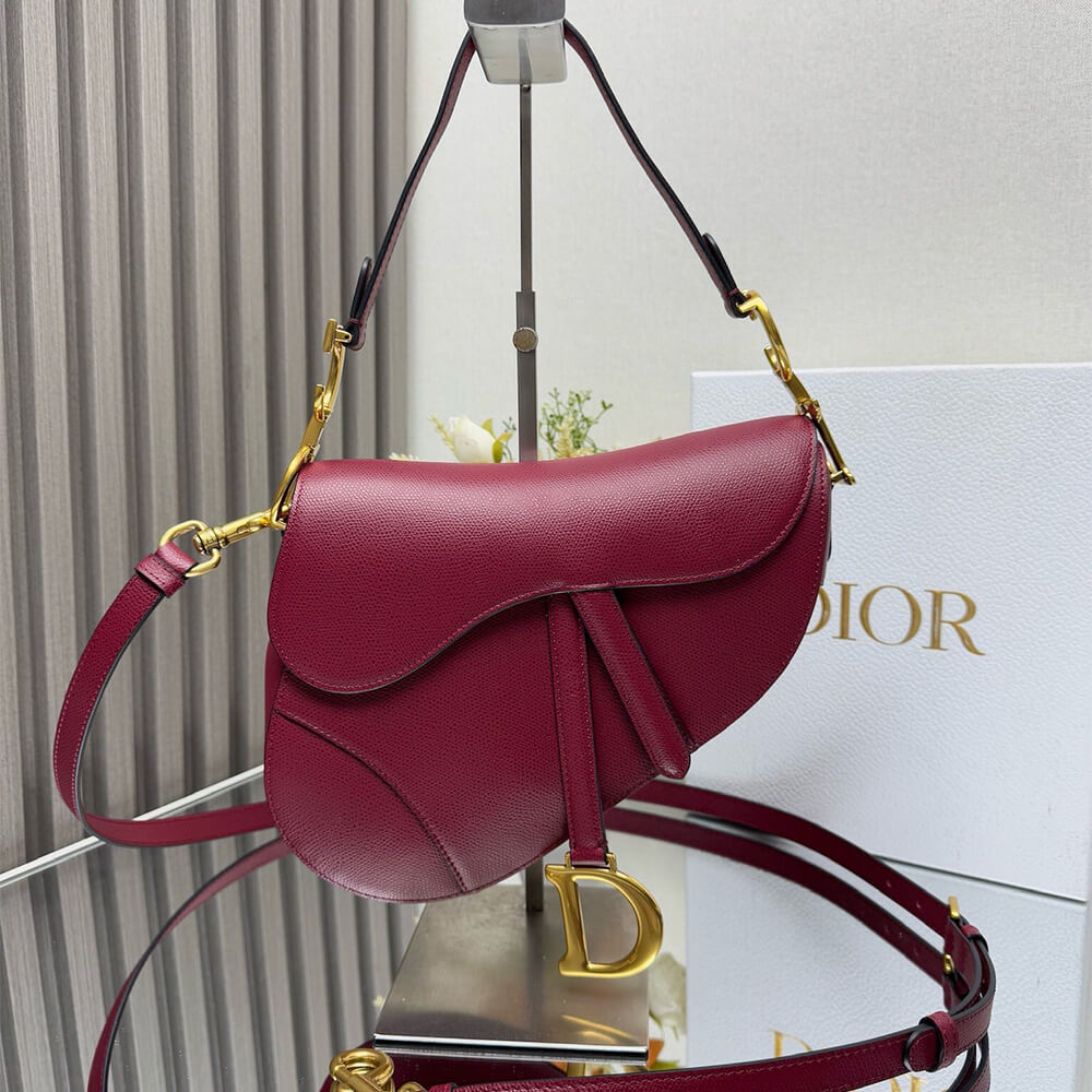 Dior Saddle Bag with Strap