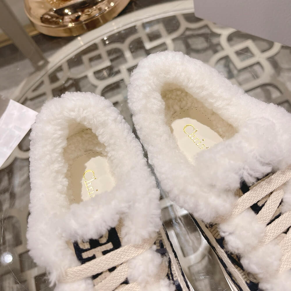 Walk n Dior Platform Sneaker