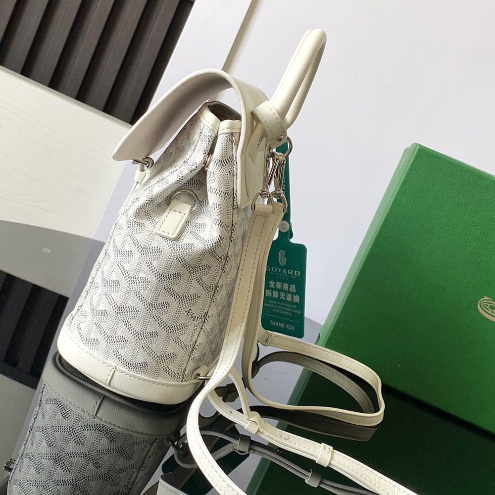 Goyard Alpin Mini Backpack