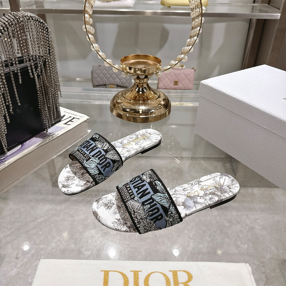 DIOR Dway Slide