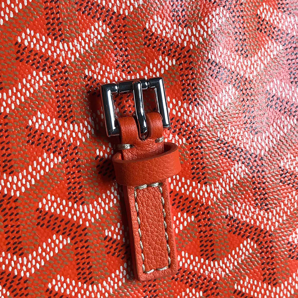 Goyard Alpin Mini Backpack