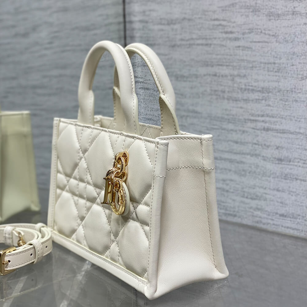 Mini Dior Book Tote